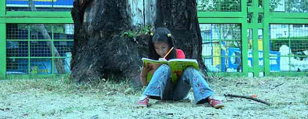 5 libros para aprender a leer y escribir.  Literatura infantil.