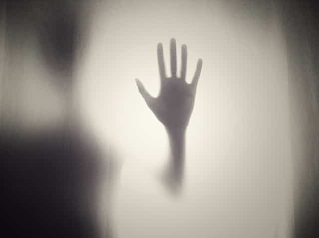 libros de miedo para adultos